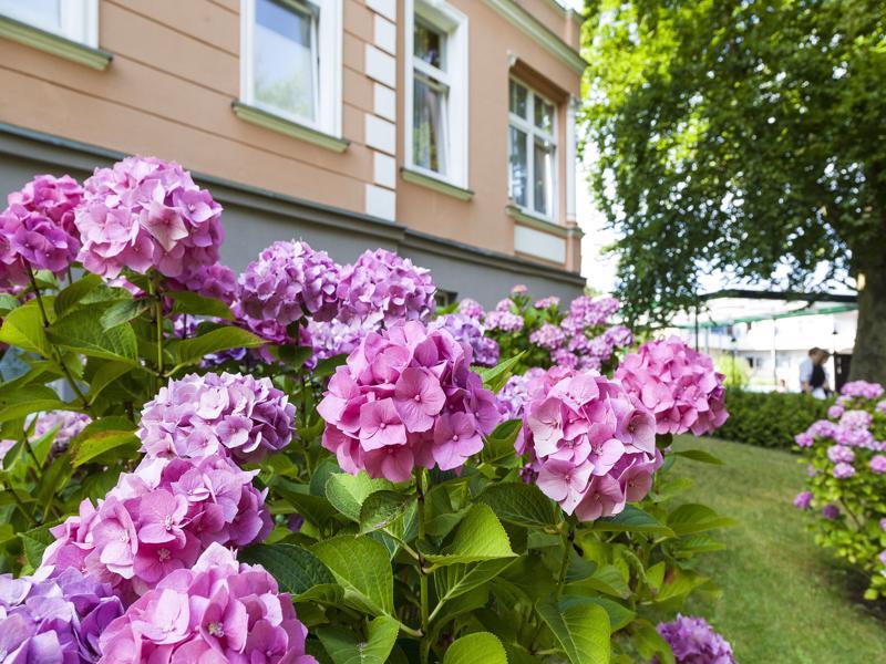 Ostseehotel Villen Im Park - Ein Rovell Hotel เฮริงสดอร์ฟ ภายนอก รูปภาพ