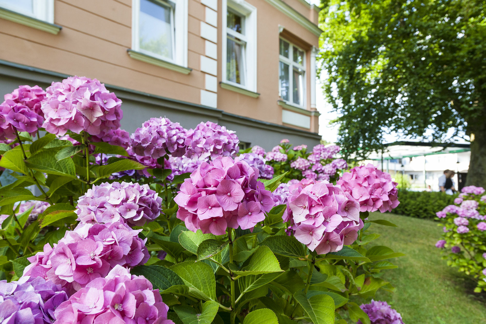 Ostseehotel Villen Im Park - Ein Rovell Hotel เฮริงสดอร์ฟ ภายนอก รูปภาพ